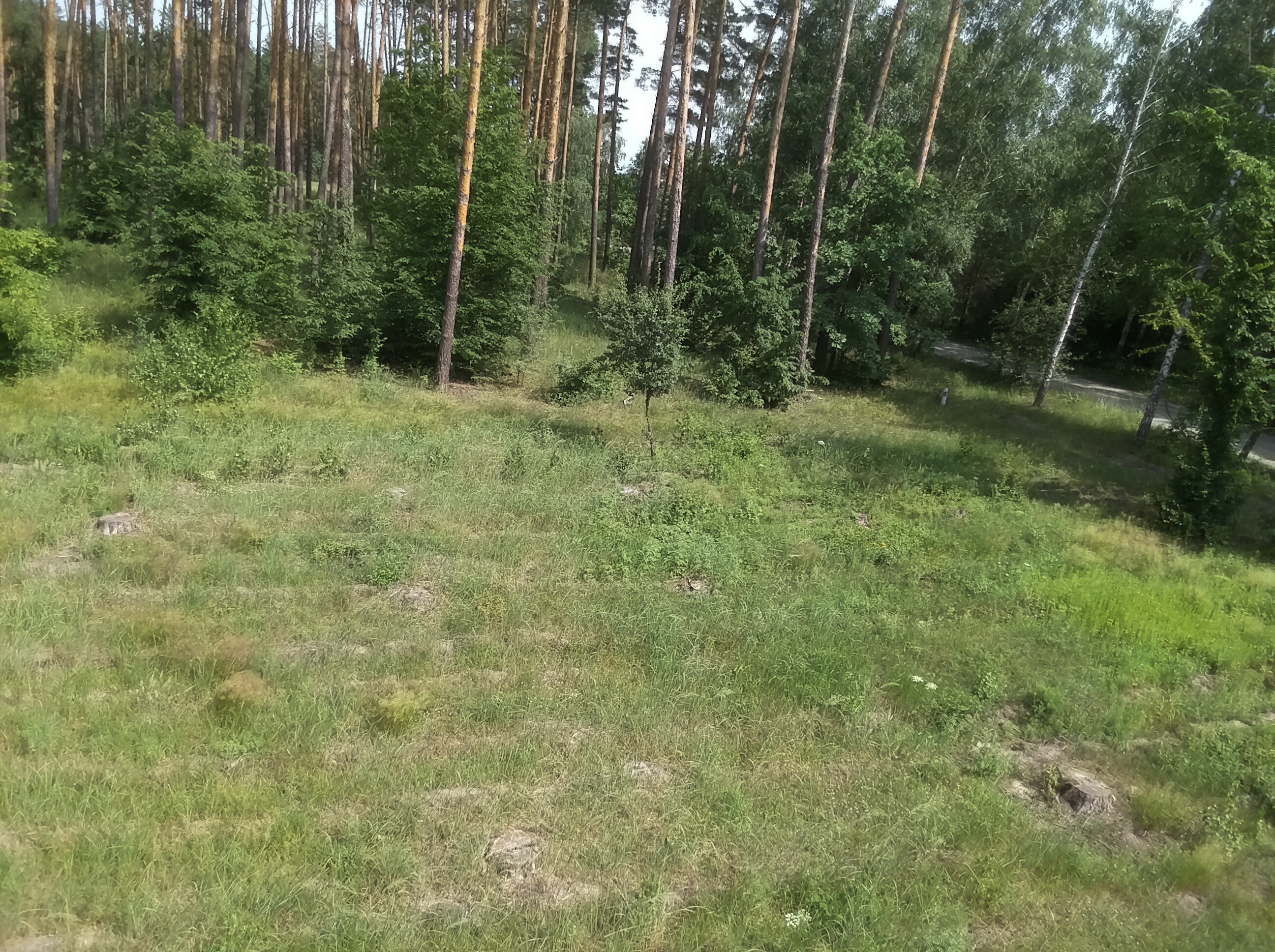 Przegląd Quadrocoptera Ryze Tello: Najlepszy Drone dla pierwszego zakupu-59 Przegląd Quadrocoptera Ryze Tello: Najlepszy Drone dla pierwszego zakupu-59