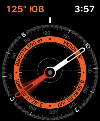 Przegląd Apple Watch 5: Inteligentny zegarek w cenie statku kosmiczneo-47 Przegląd Apple Watch 5: Inteligentny zegarek w cenie statku kosmiczneo-47